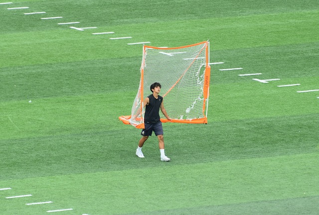 在最新的N