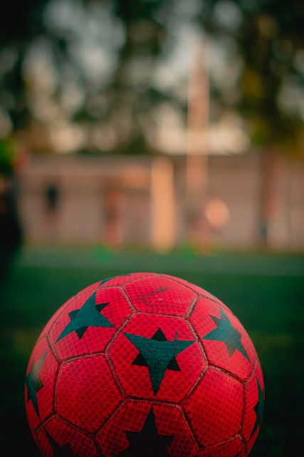 在篮球队中 在篮球队中