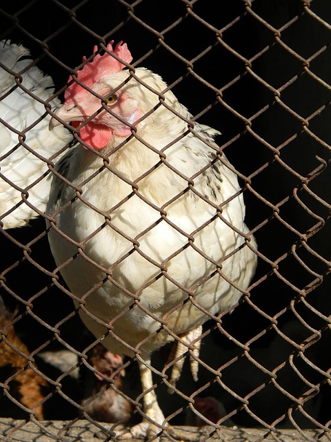 常常會導致 常常會導致