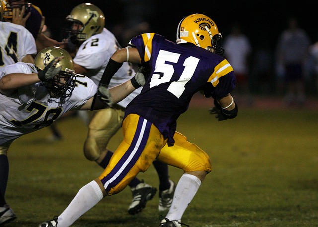 国羽毛球的 国羽毛球的