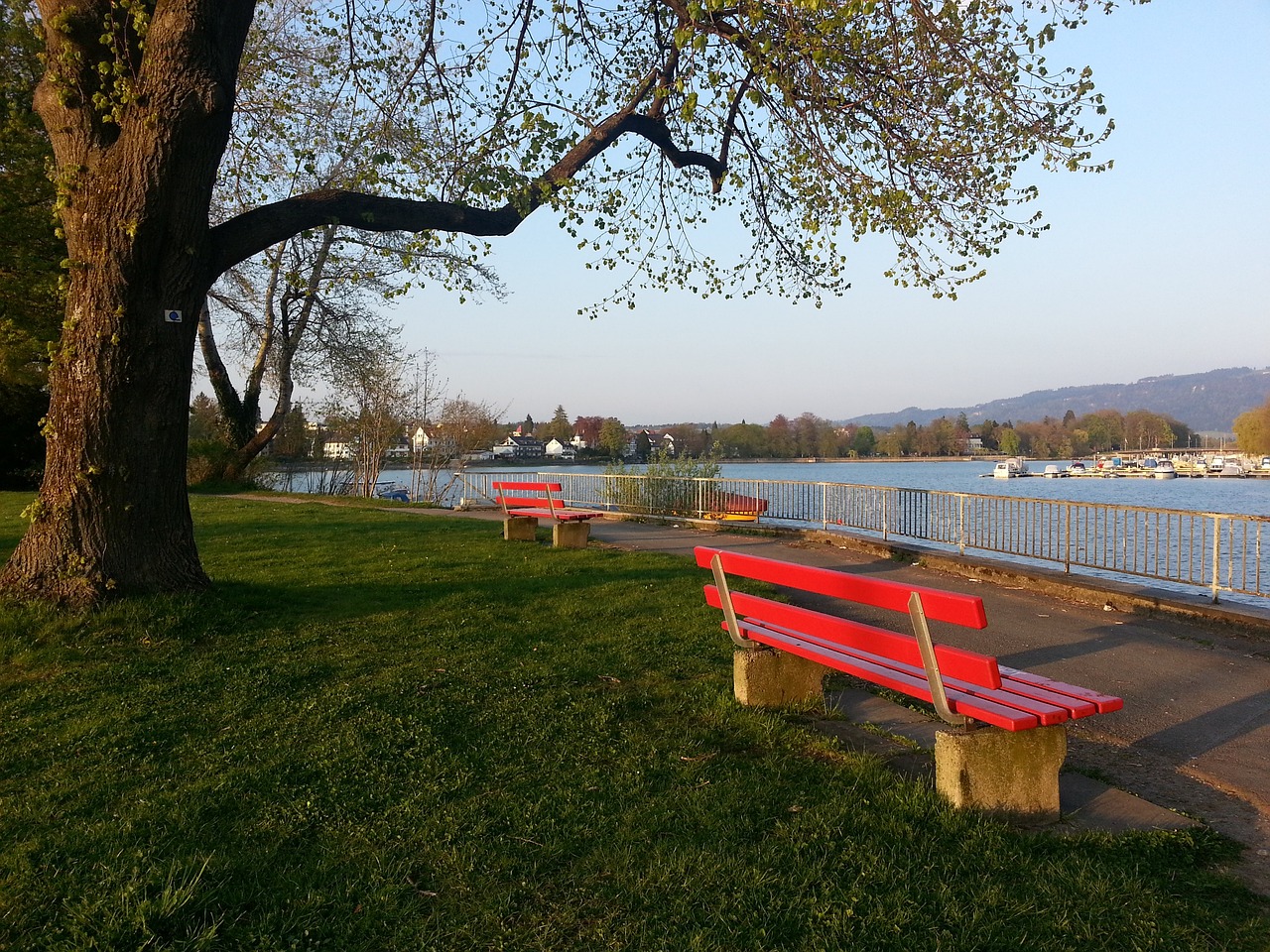 对他多年坚 对他多年坚