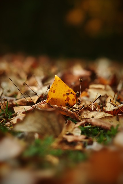 低收入群体 低收入群体